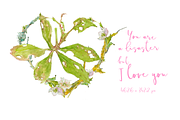 Hearts-watercolor-Hellebore, an Illustration by watercolorwild.graphics (Thumbnail 12 of 19)