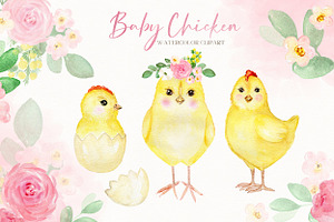 Baby Chicken. Watercolor Clipart