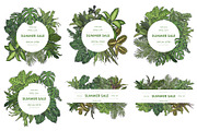 Indoor Plants VECTOR illustrations, a Seasonal Illustration by Natalka Dmitrova art (Thumbnail 13 of 16)