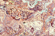 20 marble textures. Beige collection, a Texture Graphic by tkdesign (Thumbnail 20 of 21)