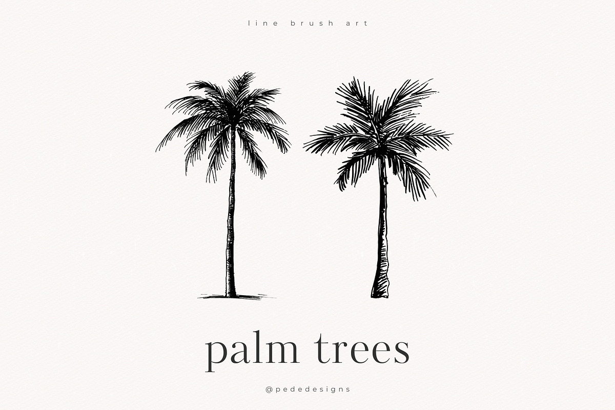 Palm Trees, an Object Illustration by PeDe Designs (Photo 7 of 9)