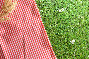 Red Checkered Blanket on Green Grass, a Holiday Photo by Davizro's Market