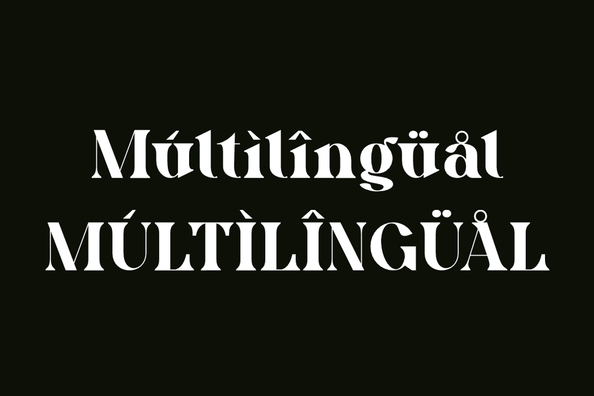 Eqaslo - Elegant Vintage Font, a Serif Font by Iqsiart Studio (Photo 6 of 14)