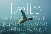 Turtle, a Sans Serif Font by Treich Design (Thumbnail 1 of 4)