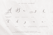 Sunchery Script With Free Extras, a Script Font by sizimon (Thumbnail 12 of 15)
