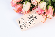 Fallen Angel | Script Font, a Handwritten Font by Scratchones (Thumbnail 4 of 9)