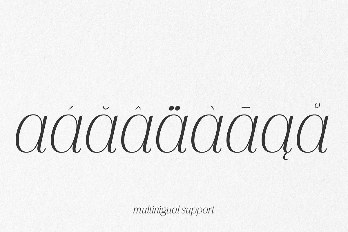Nouvelle Edition, a Serif Font by Prestige Artsy Studio (Photo 8 of 10)