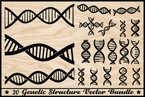 Genetic Structure Vector Bundle, an Illustration by yasushie