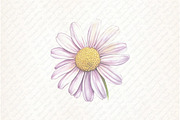 Watercolor Preppy Floral Clipart, an Illustration by Watercolor design (Thumbnail 8 of 12)