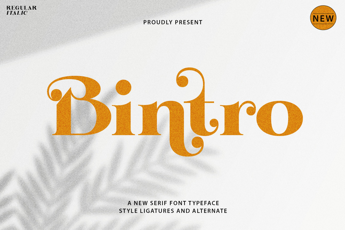 Bintro, a Serif Font by Propertype (Photo 1 of 10)