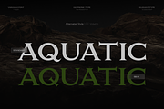 GC Volumn - Elegant Serif Typeface, a Serif Font by Glyphonic (Thumbnail 7 of 15)