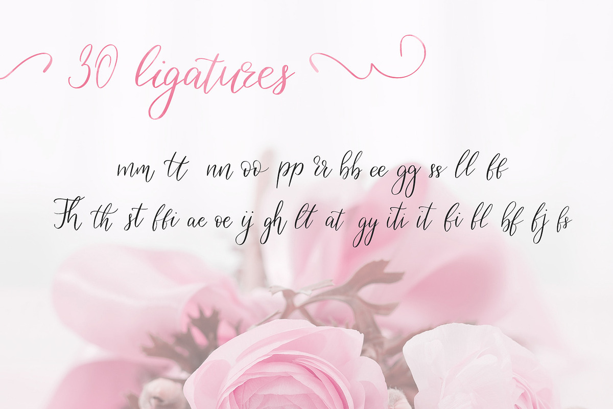 Birdy Roses | Script font + Swashes preview 7