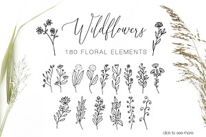 300 Wild Flowers Vector Elements