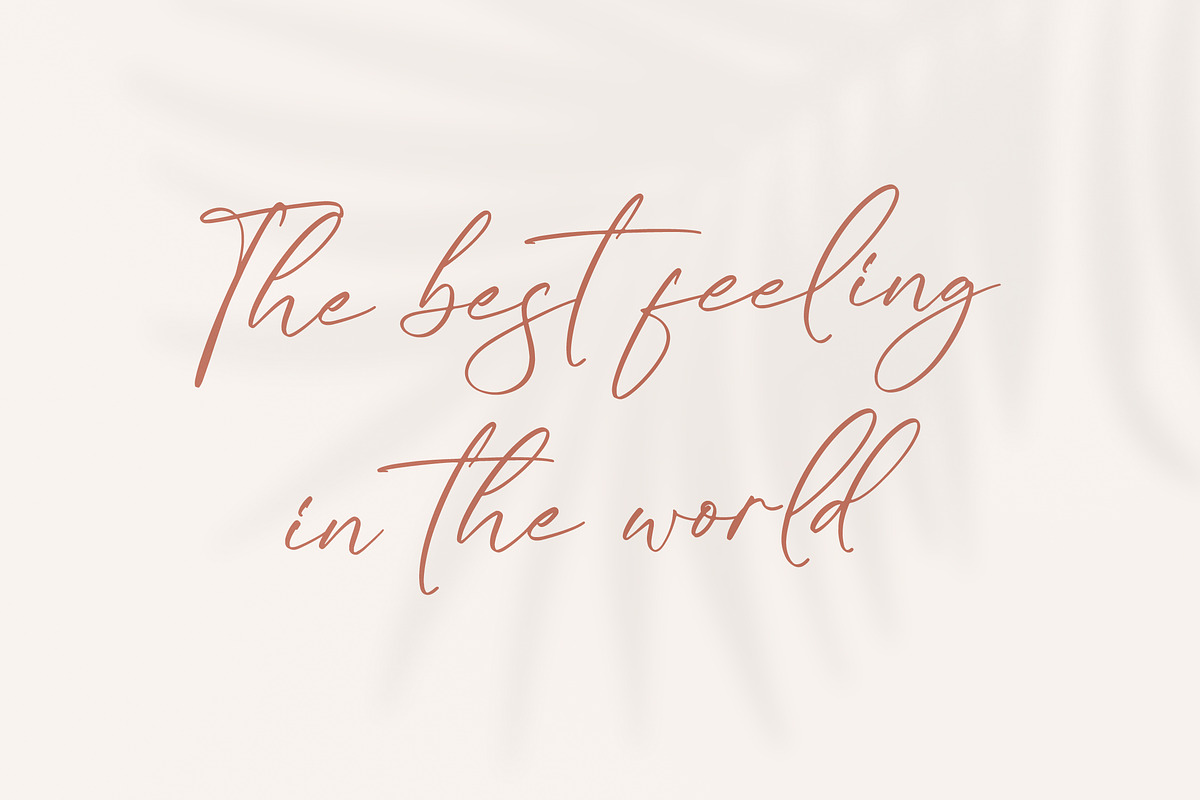 Kaldista Project Modern Signature, a Script Font by Letterena Studios Script (Photo 5 of 15)