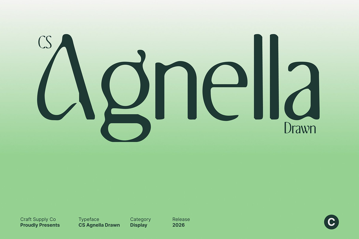 CS Agnella Drawn, a Serif Font by Craft Supply Co. (Photo 1 of 8)