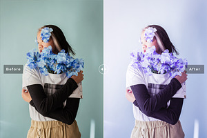 Wisteria Pro Lightroom Presets