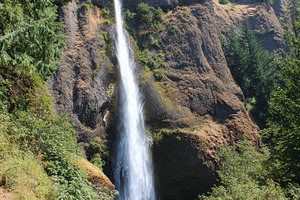 Majestic waterfall in a lush forest setting, a Nature Photo by AlyaAnd