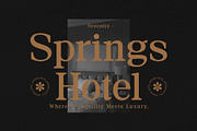 Minggu - Elegant Serif Font, a Serif Font by TypeLogue (Thumbnail 2 of 5)