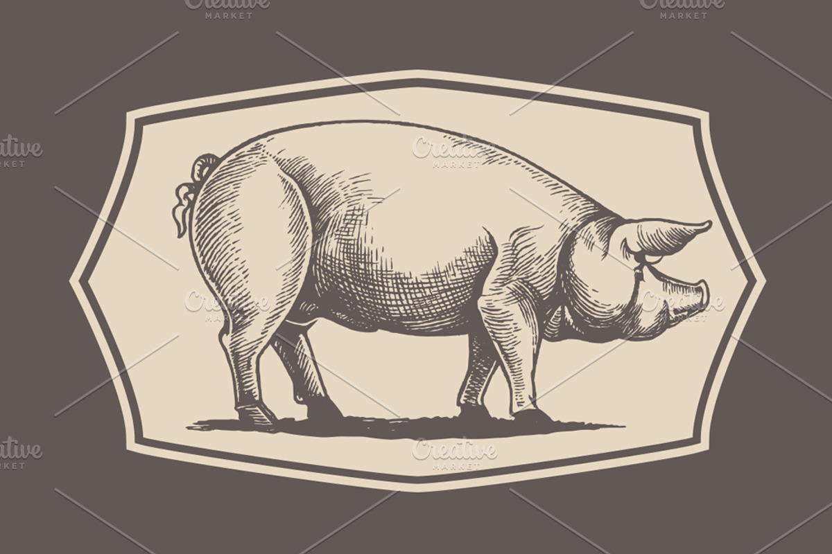 Pigs in graphical style, an Animal Illustration by Countryside life (Photo 4 of 11)