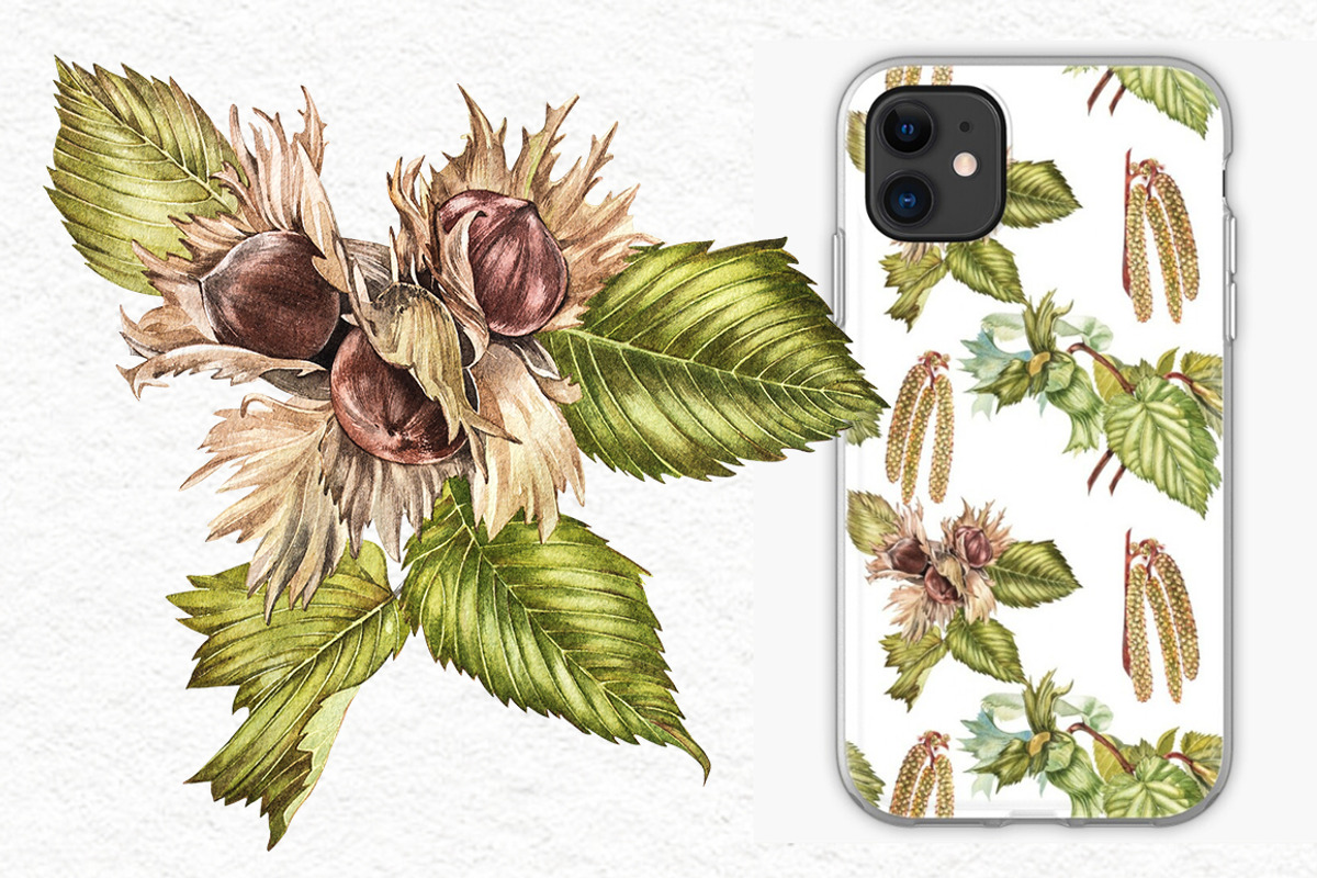 Hazelnuts in botanical style, a Food Illustration by Ann Astro (Photo 4 of 8)