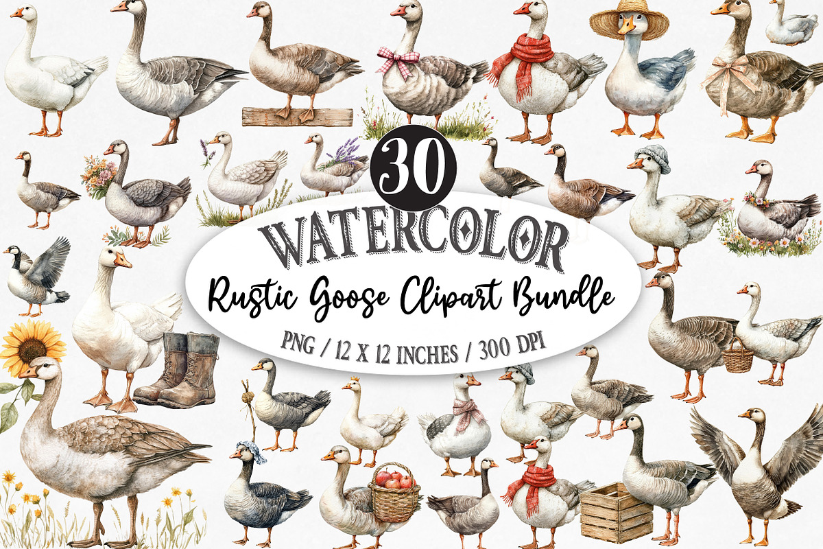 Watercolor Rustic Goose Clipart, an Illustration by Designking (Photo 1 of 5)