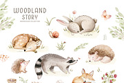 Woodland Story, an Animal Illustration by Peace ART (Thumbnail 2 of 8)
