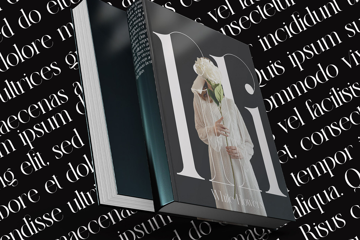 Rulinsa Modern Serif Typeface, a Serif Font by Alfinart (Photo 4 of 10)