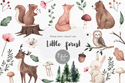 Little Forest watercolor clipart, an Animal Illustration by Estudio 812 (Thumbnail 1 of 9)