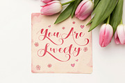 Verali | Lovely Script, a Script Font by Gilar Studio (Thumbnail 7 of 15)