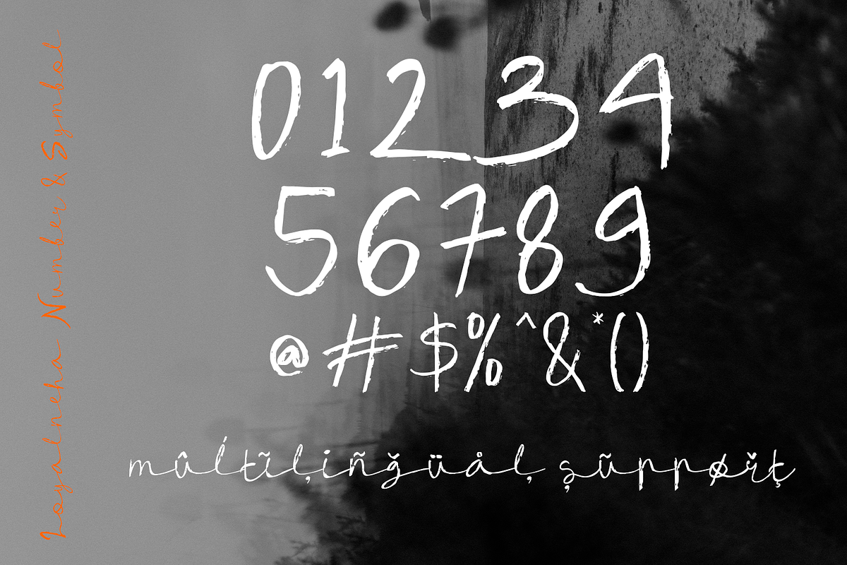 Loyalneha Brush Script, a Script Font by madeDeduk (Photo 4 of 8)