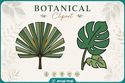 Boho Botanical Leaves Clipart Bundle, a Nature Photo by Actual Pixel (Thumbnail 7 of 21)
