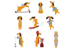 Purebred Brown Dachshund Dog Set, an Animal Illustration by TopVectors