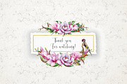Pink Magnolia Watercolor Collection, a Decorative Illustration by AnitaPol (Thumbnail 14 of 14)