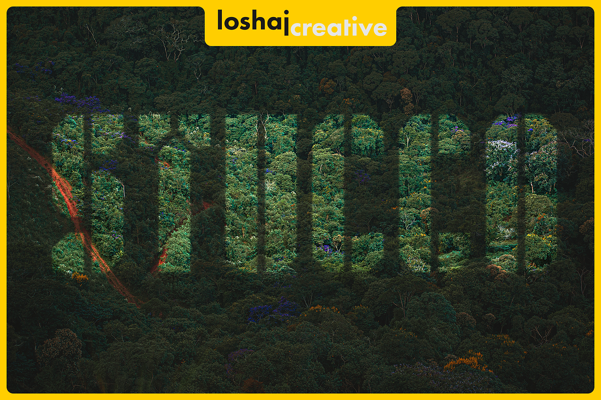 Stucco, a Sans Serif Font by Loshaj Creative (Photo 5 of 5)