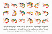 Watercolor Shrimp Clipart Set, an Illustration by Libby Wishes (Thumbnail 8 of 8)