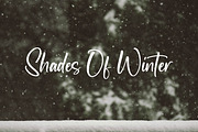 Newscript, a Script Font by Integritype Studio (Thumbnail 5 of 14)