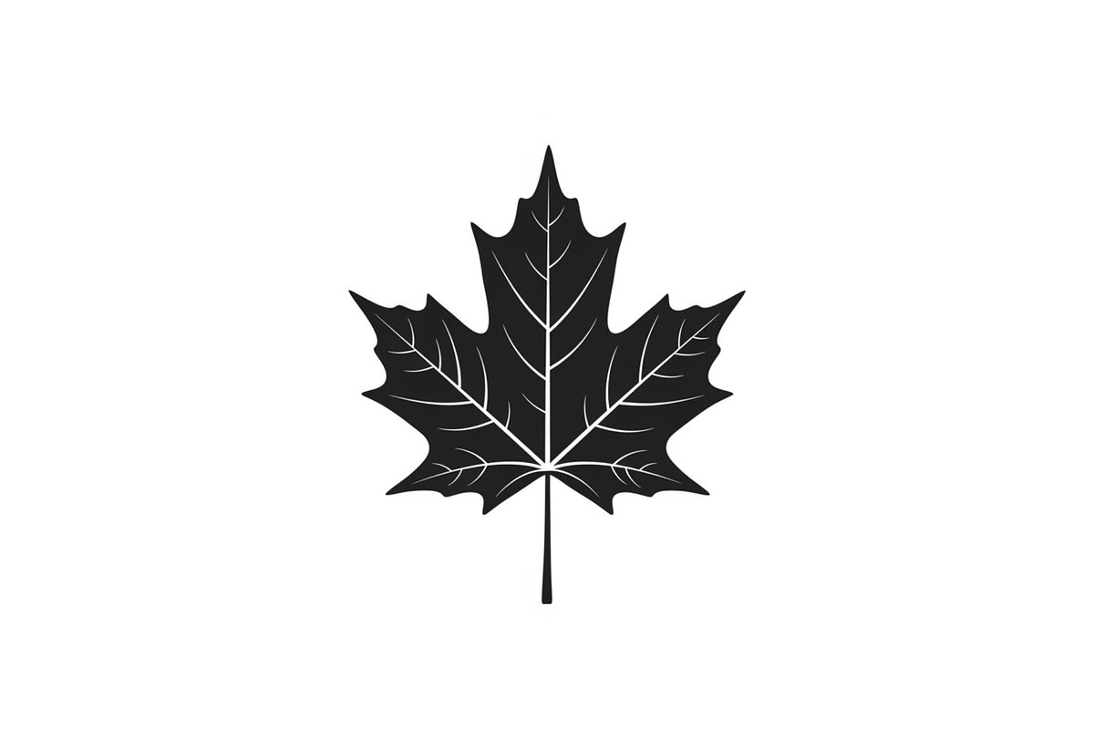 Maple Leaf Silhouette Bundle, a Graphic by musafir_fashion (Photo 5 of 10)