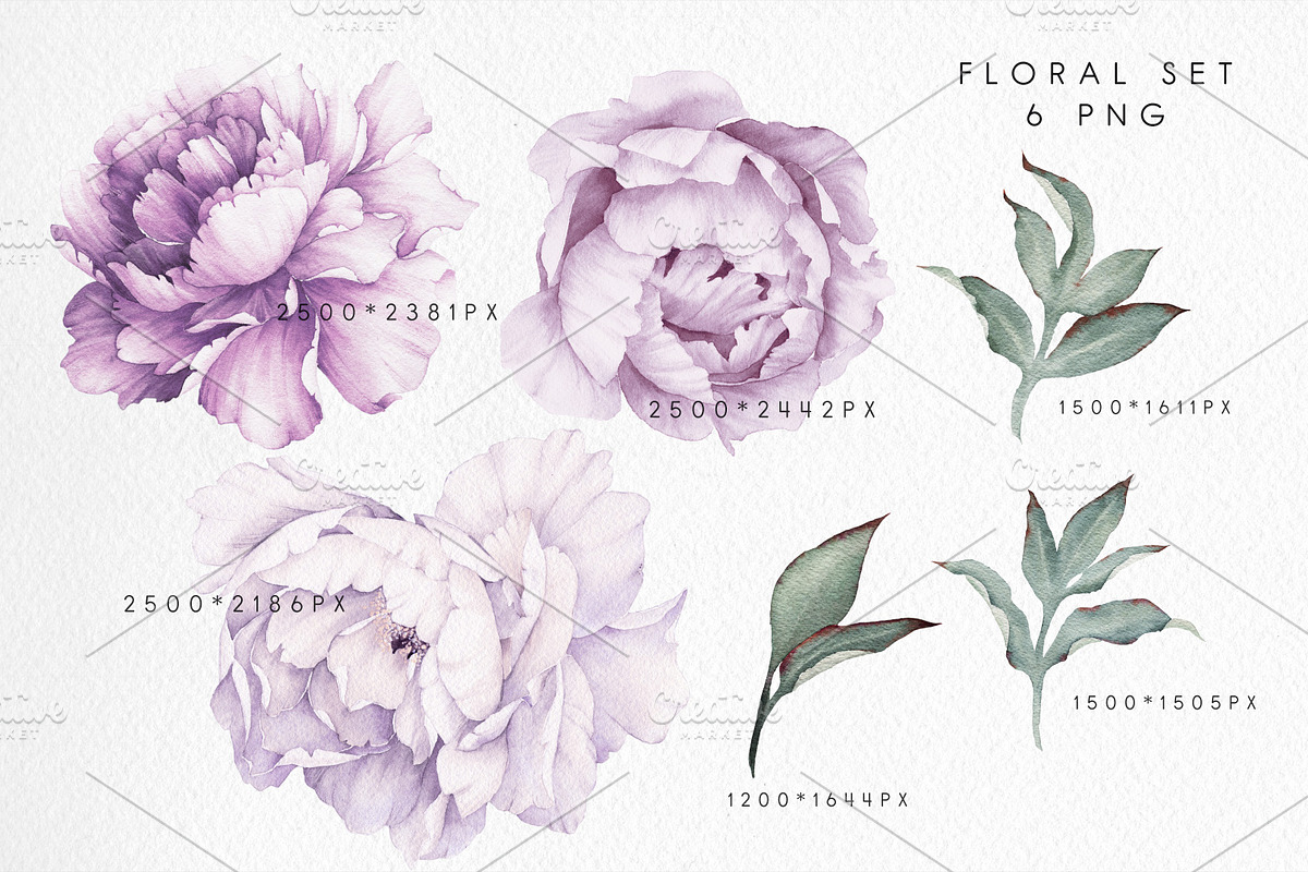 Watercolor Floral Bundle, a Texture Illustration by ollalya (Photo 66 of 112)