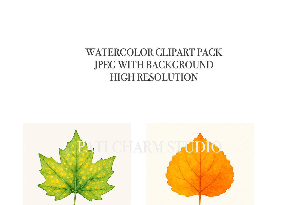 Autumn Leaf Clipart Bundle, a Decorative Illustration by Pati Charm Studio (Photo 5 of 8)