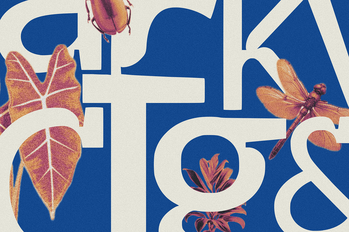Veyla — Fashion-Edged Display Poise, a Sans Serif Font by ethylene.creative (Photo 9 of 12)