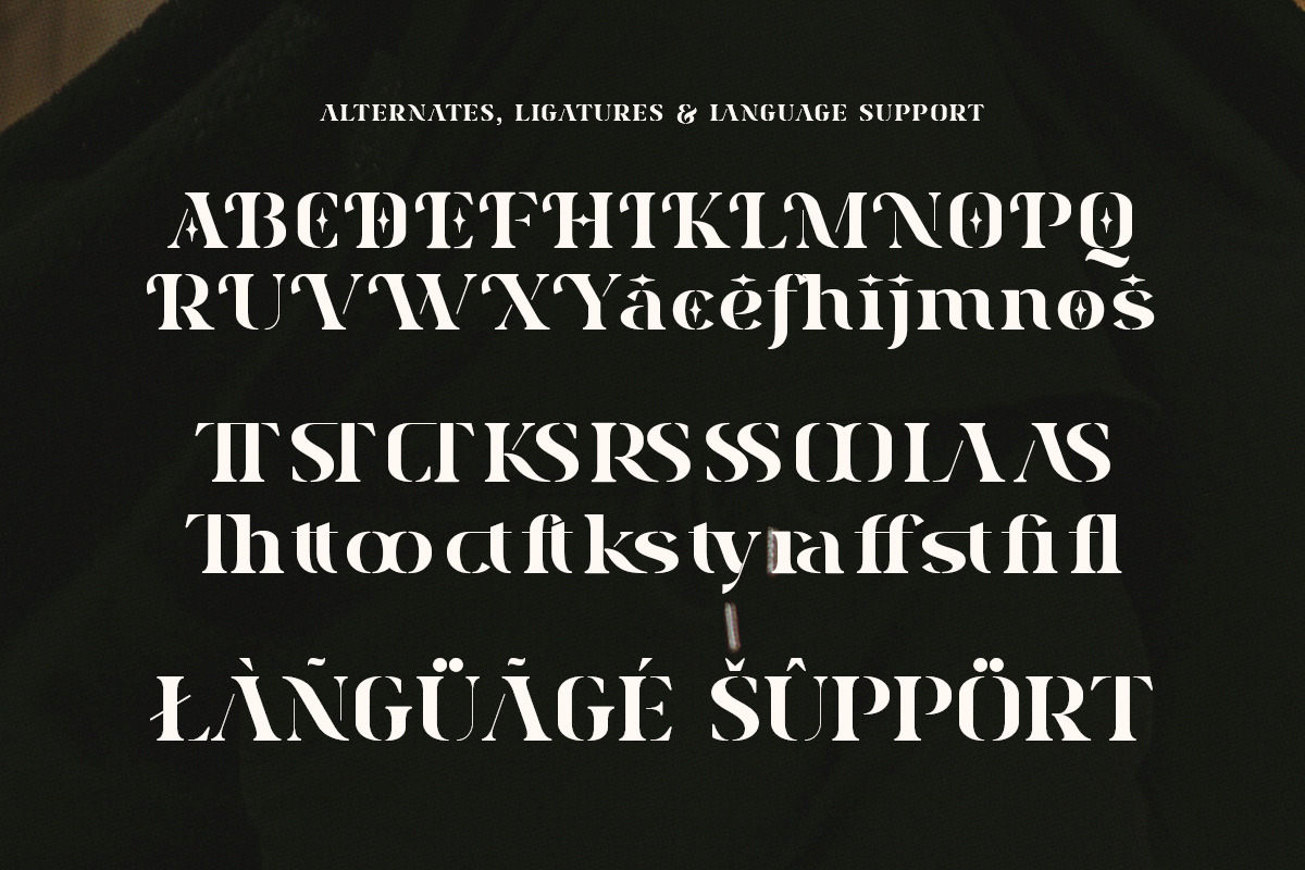 Mersen Boldest - Modern Bold Serif, a Serif Font by Shakira Studio (Photo 10 of 10)