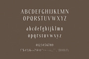 Fitanova || Classy Serif, a Serif Font by BrandSemut (Thumbnail 10 of 10)