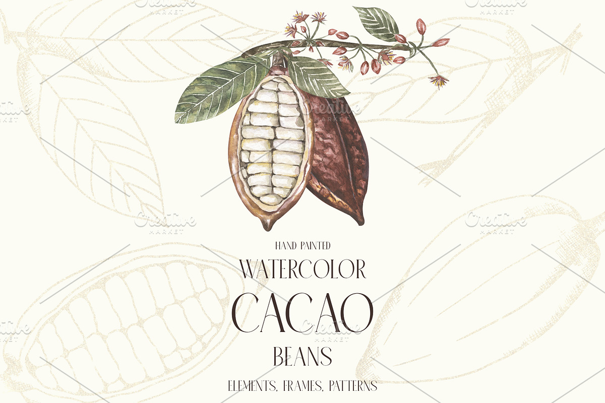 Watercolor Cacao Beans, a Food Illustration by MayaNavits (Photo 1 of 13)