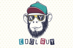 Cool Monkey