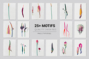 Montage, Luxury Patterns & Motifs, a Pattern Graphic by Pink Linen (Thumbnail 11 of 14)