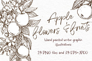 Apple Graphic & Watercolor clipart, a Healthcare Illustration by Ann Astro (Thumbnail 3 of 5)