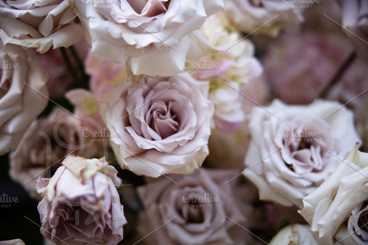 A Garden of Roses | Wedding, Events, a Nature Photo by Farewell (Photo 34 of 41)