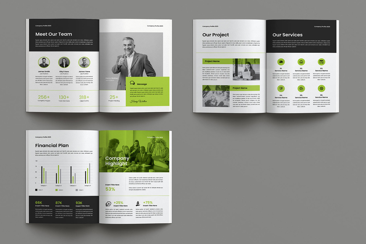 Company Profile Template, a Brochure Template by Seeing-art (Photo 11 of 11)