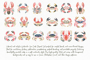 Watercolor Sea Crab Clipart Set, an Illustration by Libby Wishes (Thumbnail 5 of 8)