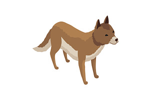 Farm animal isometric. Domestic, an Animal Illustration by the8monkey